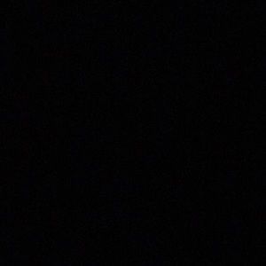 Meet your Posher, Jasmin